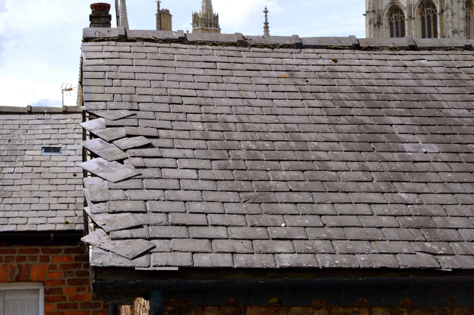 Roof repair needed